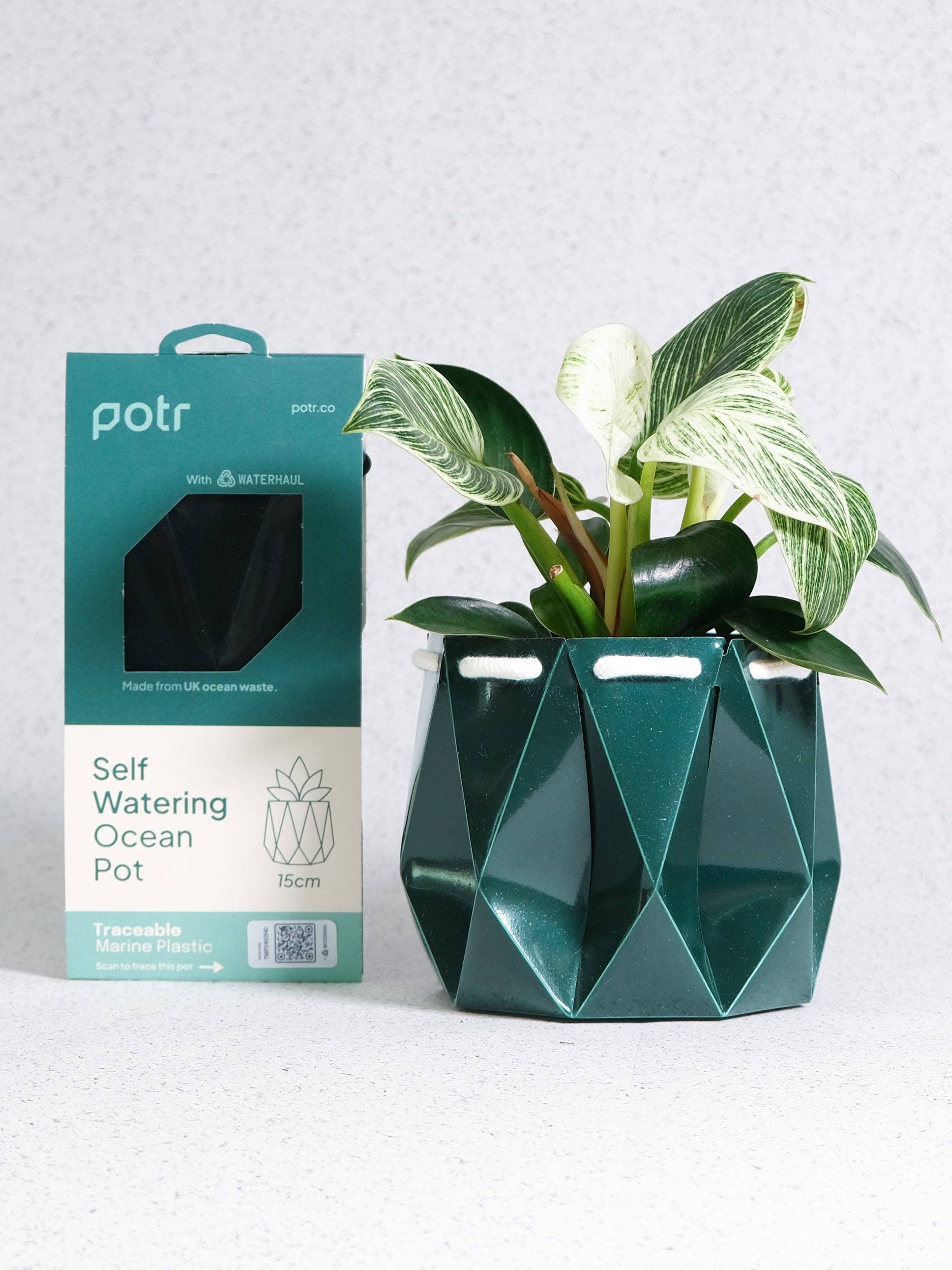 self watering plant pots uk 15cm Self-watering Ocean Pot
