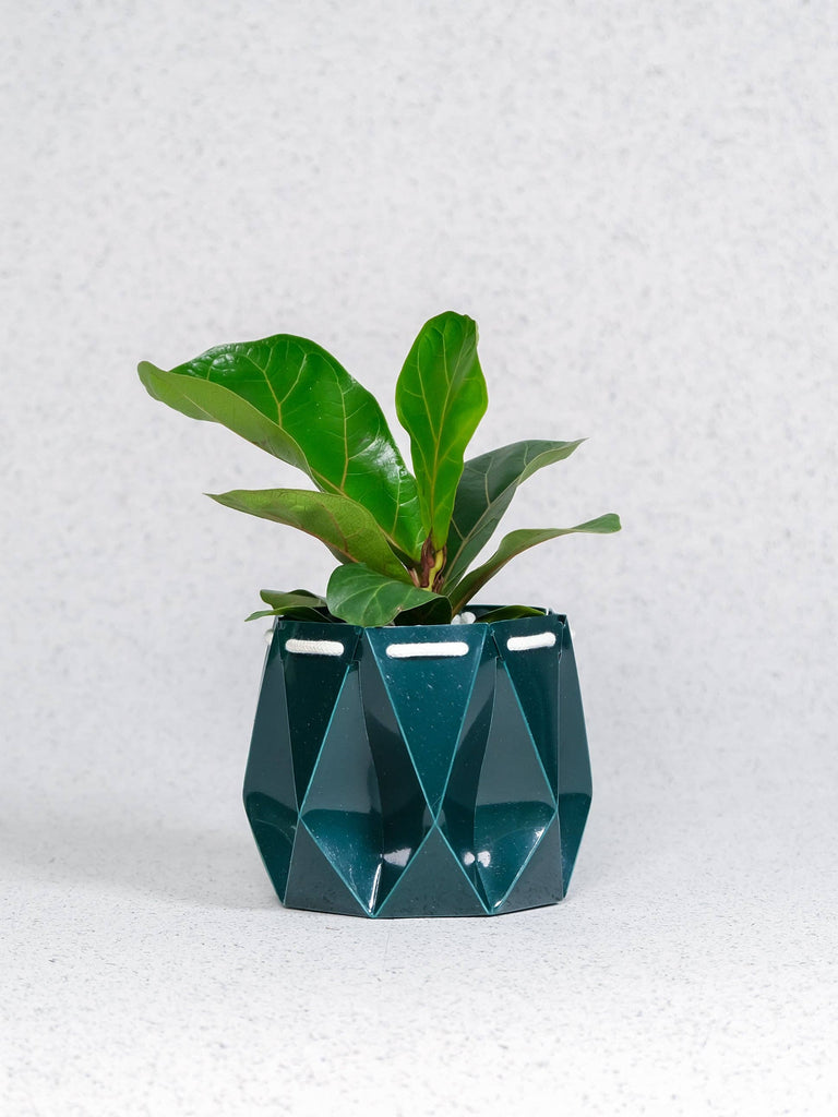 11cm plant pot 11cm Self-watering Ocean Pot